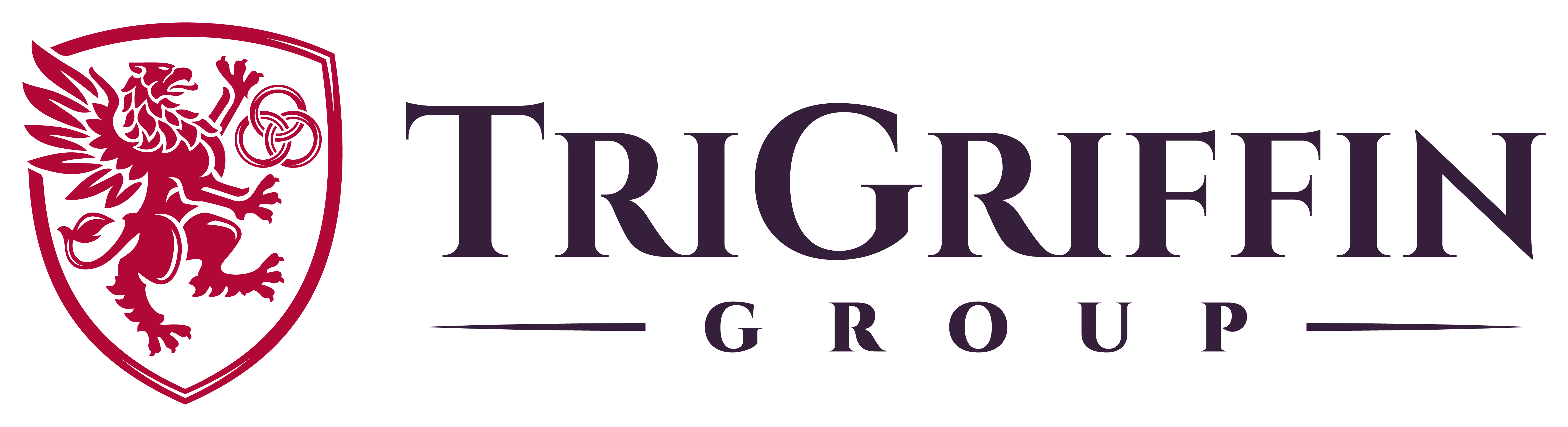 Domenico R. Pizzo logo